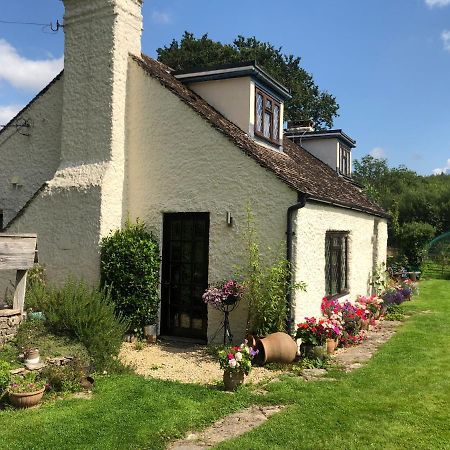 Chaseborough Farm Bed & Breakfast Verwood Bagian luar foto