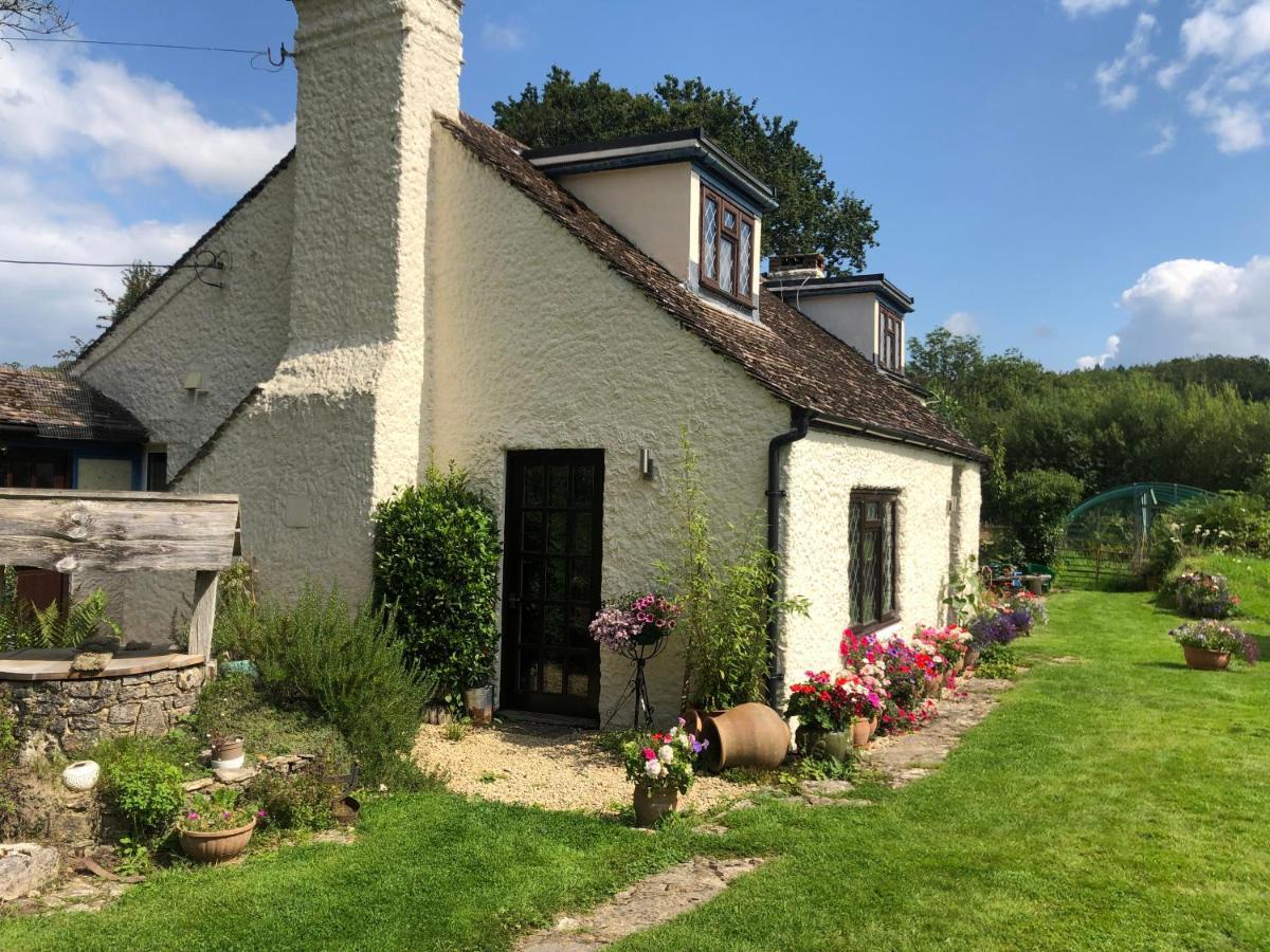 Chaseborough Farm Bed & Breakfast Verwood Bagian luar foto