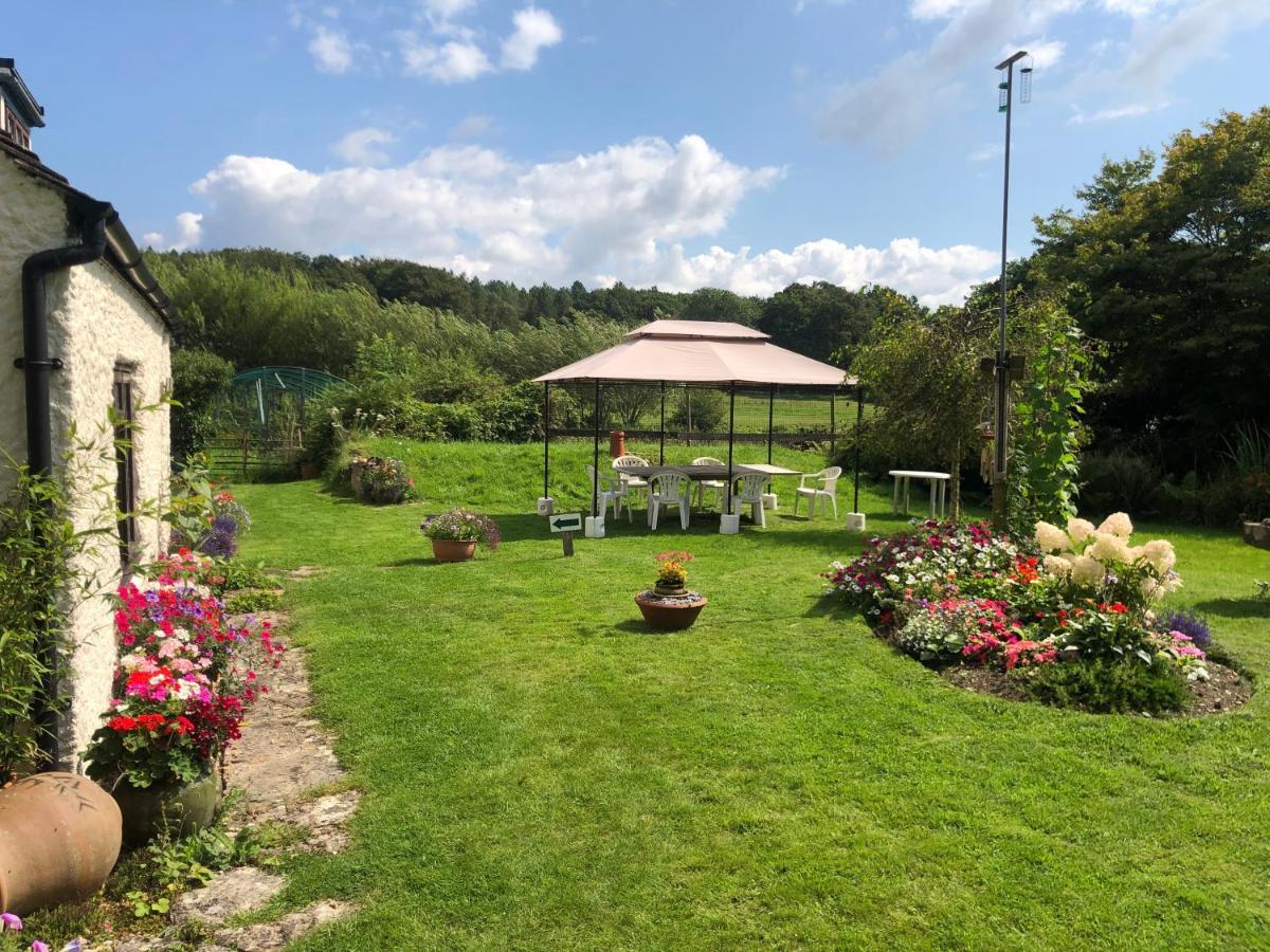Chaseborough Farm Bed & Breakfast Verwood Bagian luar foto