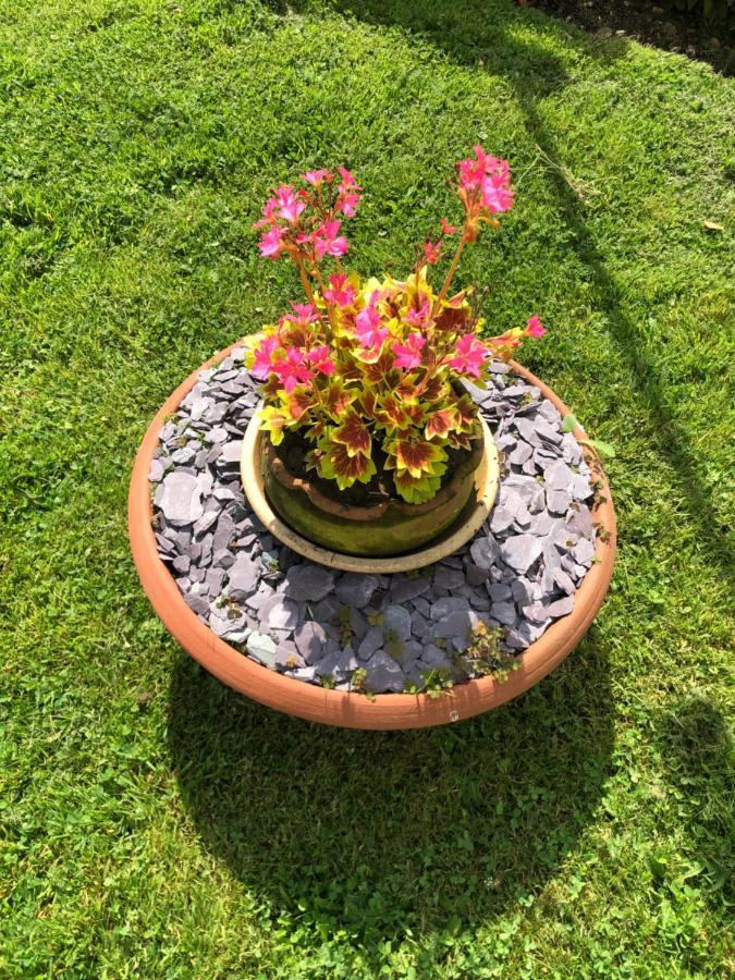 Chaseborough Farm Bed & Breakfast Verwood Bagian luar foto