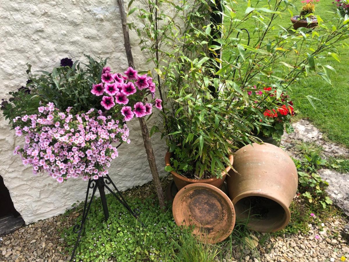 Chaseborough Farm Bed & Breakfast Verwood Bagian luar foto